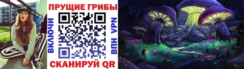 Псилоцибиновые грибы мицелий  Ивантеевка 